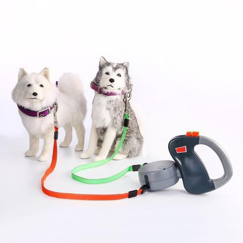 dual untangle dog leash